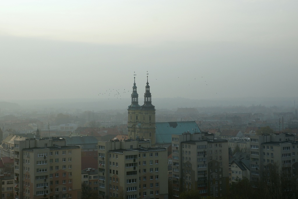 Obchody Święta Niepodległości w Legnicy