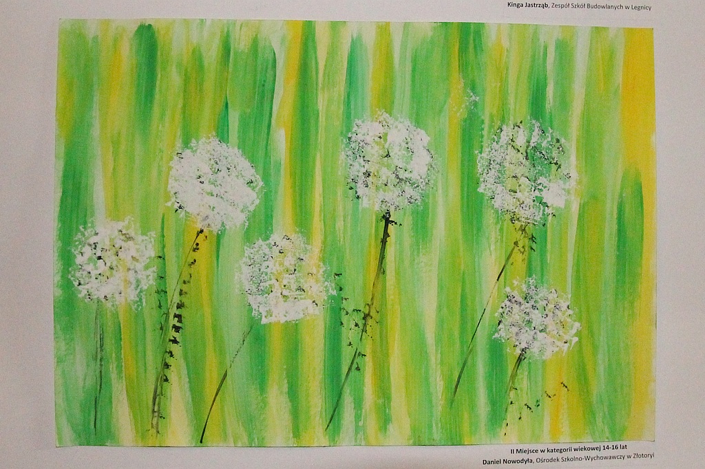 Przyroda ojczysta pędzlem i obiektywem