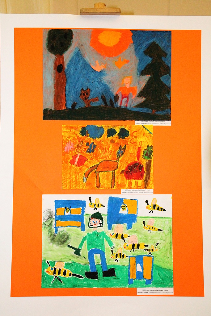 Przyroda ojczysta pędzlem i obiektywem