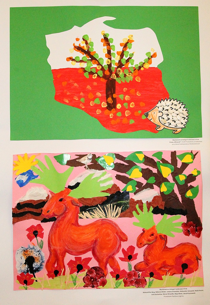 Przyroda ojczysta pędzlem i obiektywem