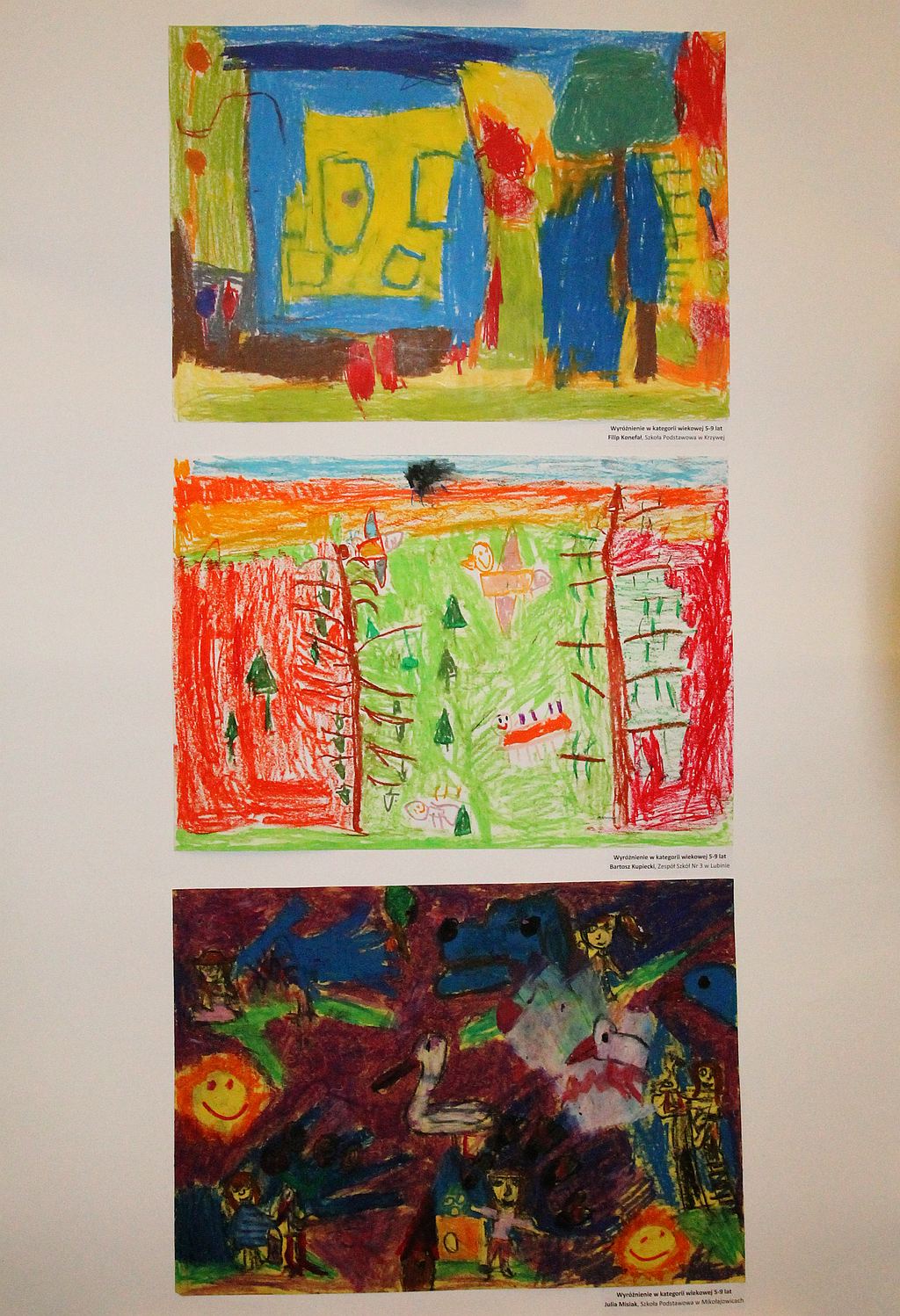 Przyroda ojczysta pędzlem i obiektywem