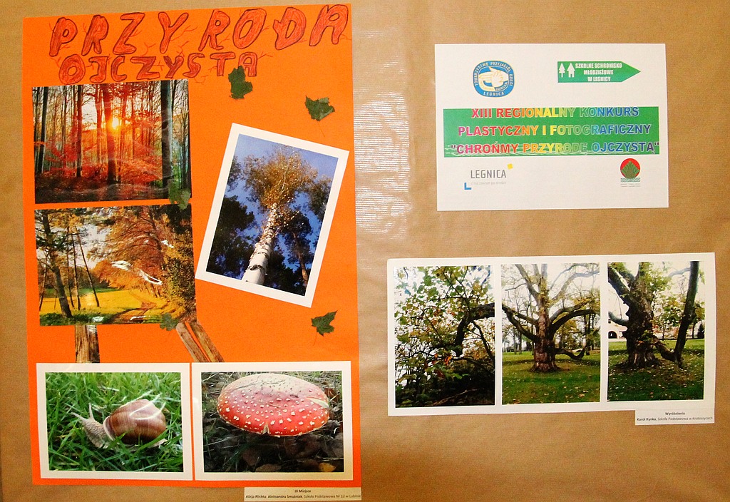 Przyroda ojczysta pędzlem i obiektywem