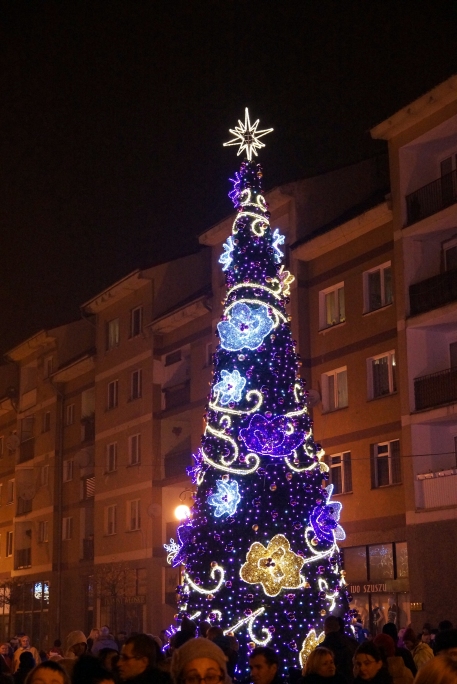 Iluminacja świąteczna w Rynku