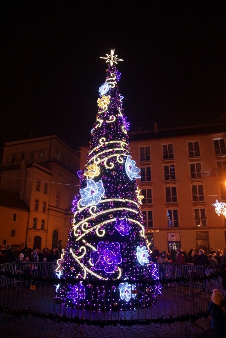 Iluminacja świąteczna w Rynku