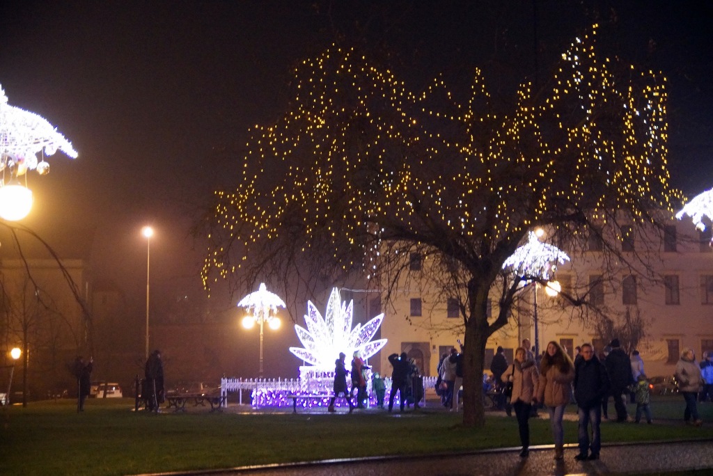 Iluminacja świąteczna w Rynku