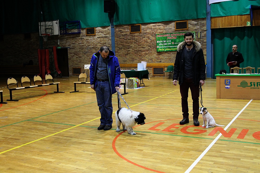 Dzieci pochwaliły się swoimi pupilami