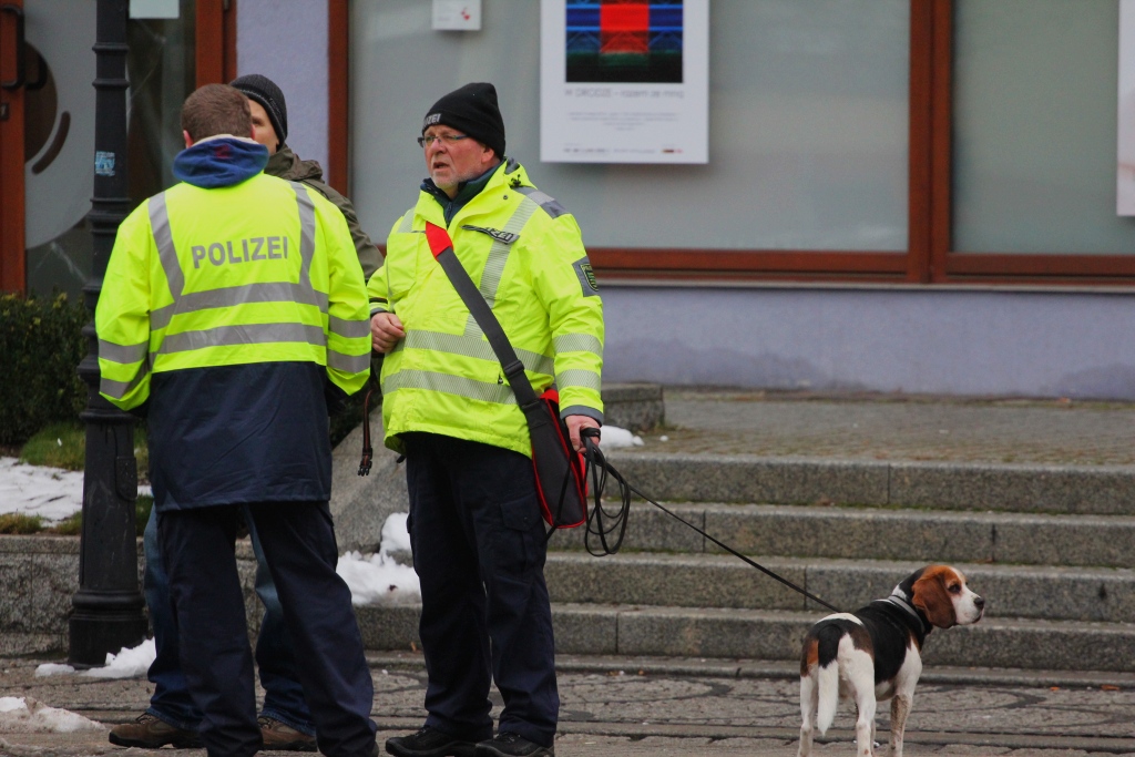 Obława policyjna w Legnicy
