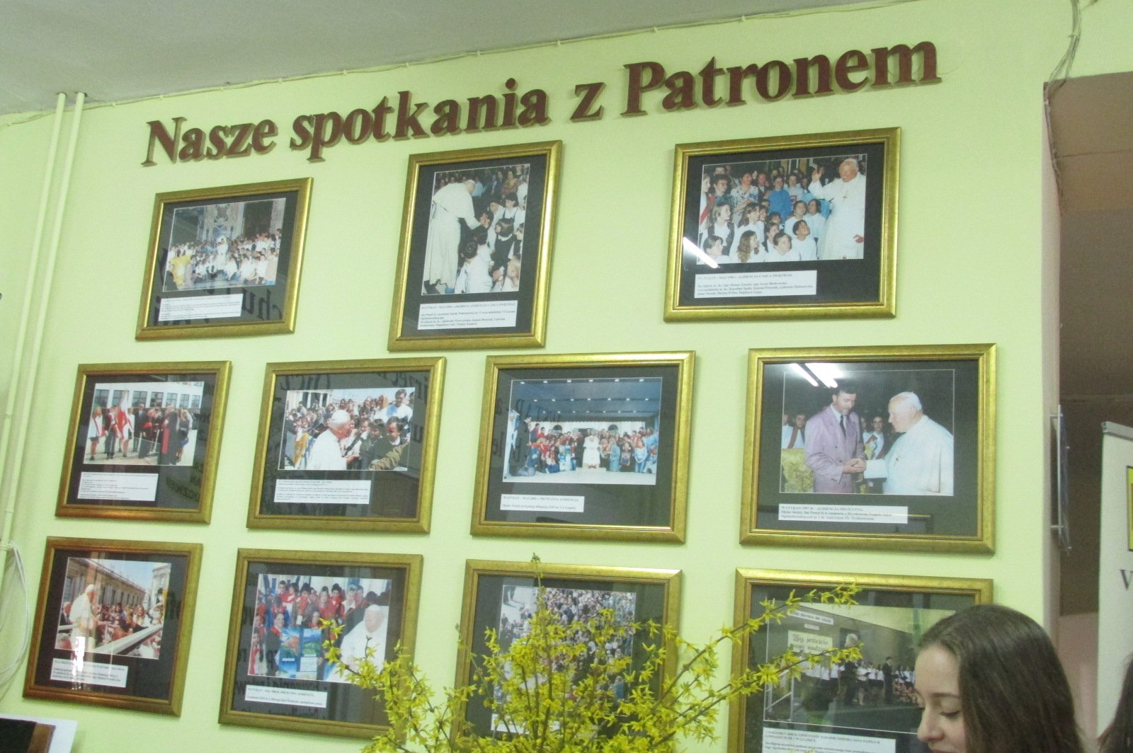 VI LO prezentuje nowe profile