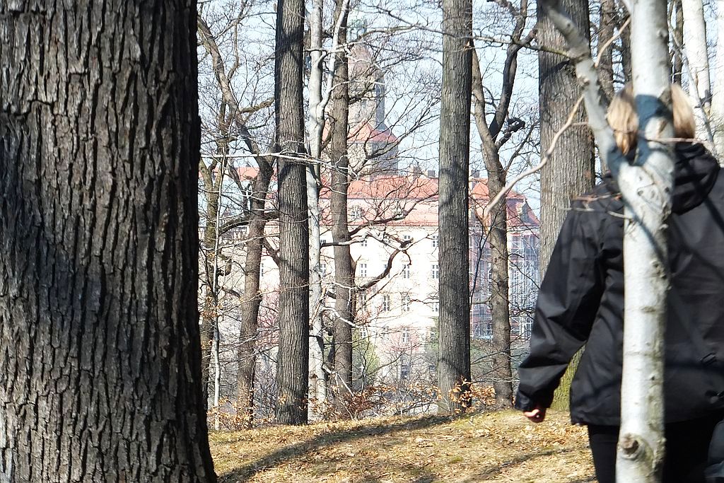 Książański Park Krajobrazowy godzien polecenia