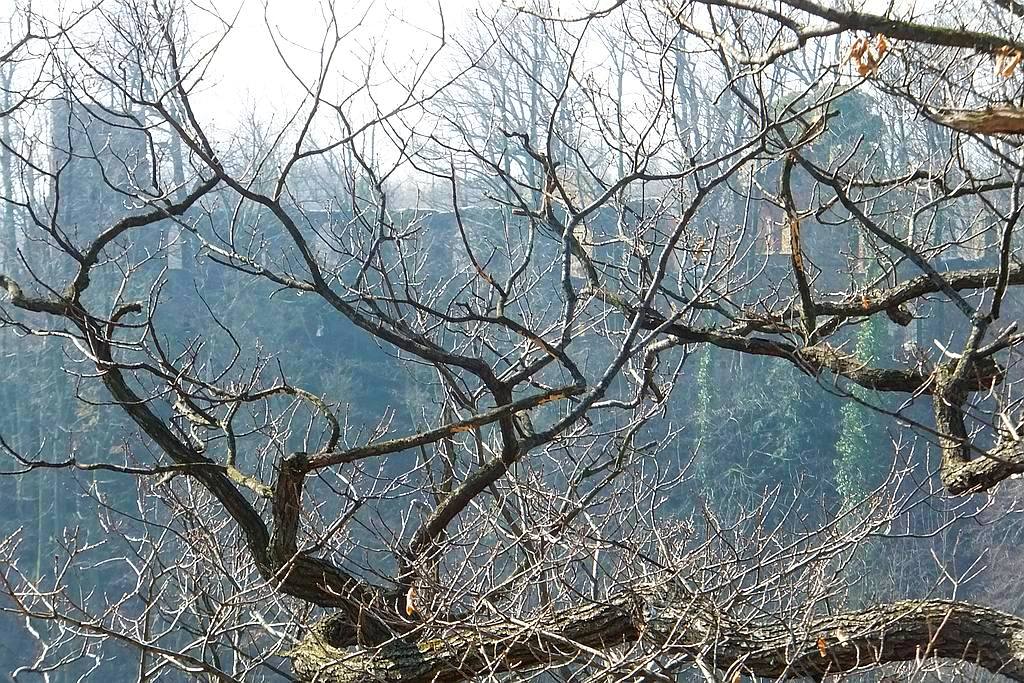 Książański Park Krajobrazowy godzien polecenia