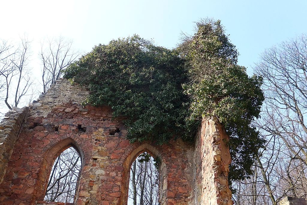 Książański Park Krajobrazowy godzien polecenia