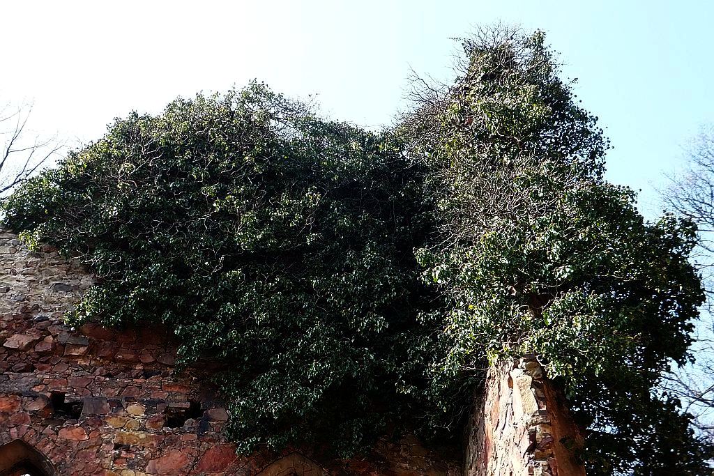 Książański Park Krajobrazowy godzien polecenia