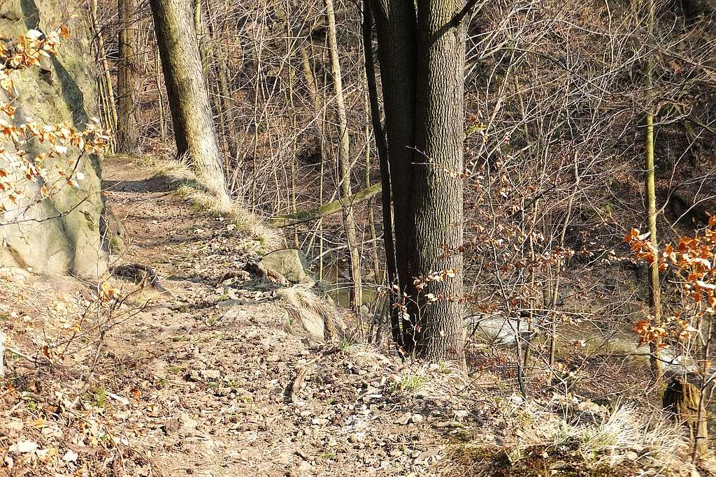 Książański Park Krajobrazowy godzien polecenia