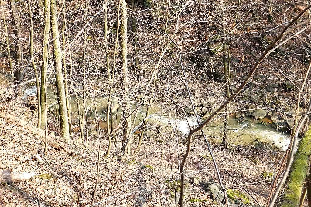 Książański Park Krajobrazowy godzien polecenia