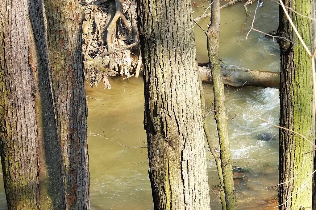 Książański Park Krajobrazowy godzien polecenia