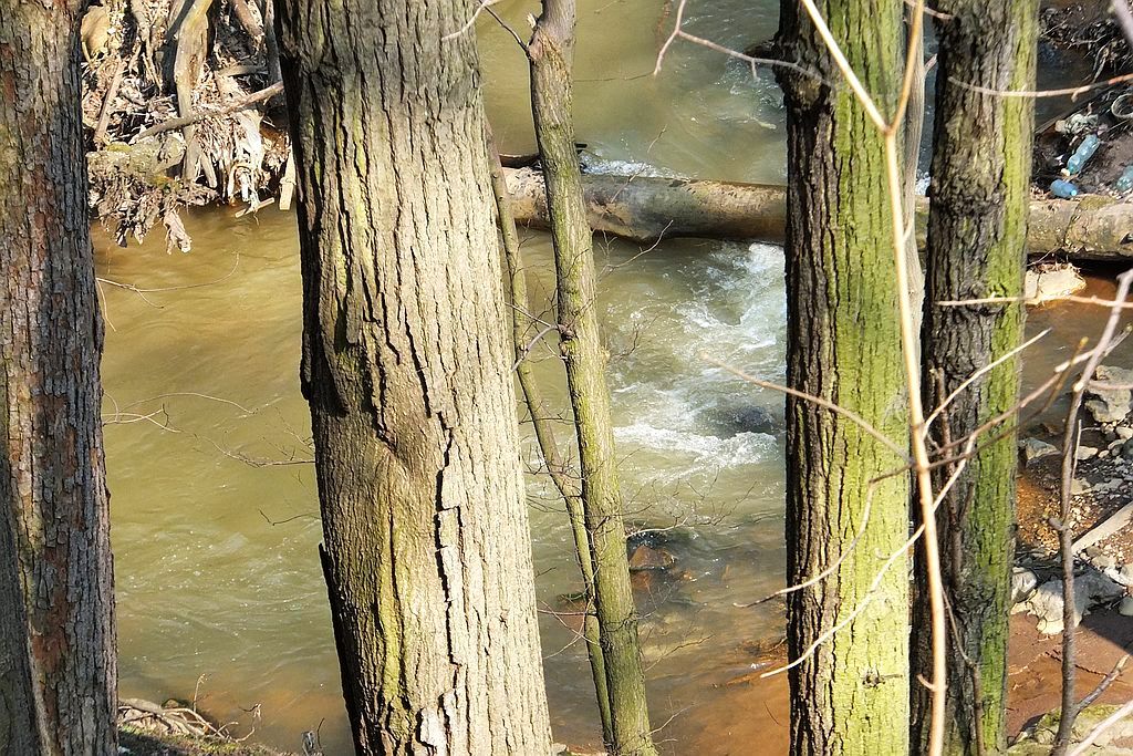 Książański Park Krajobrazowy godzien polecenia