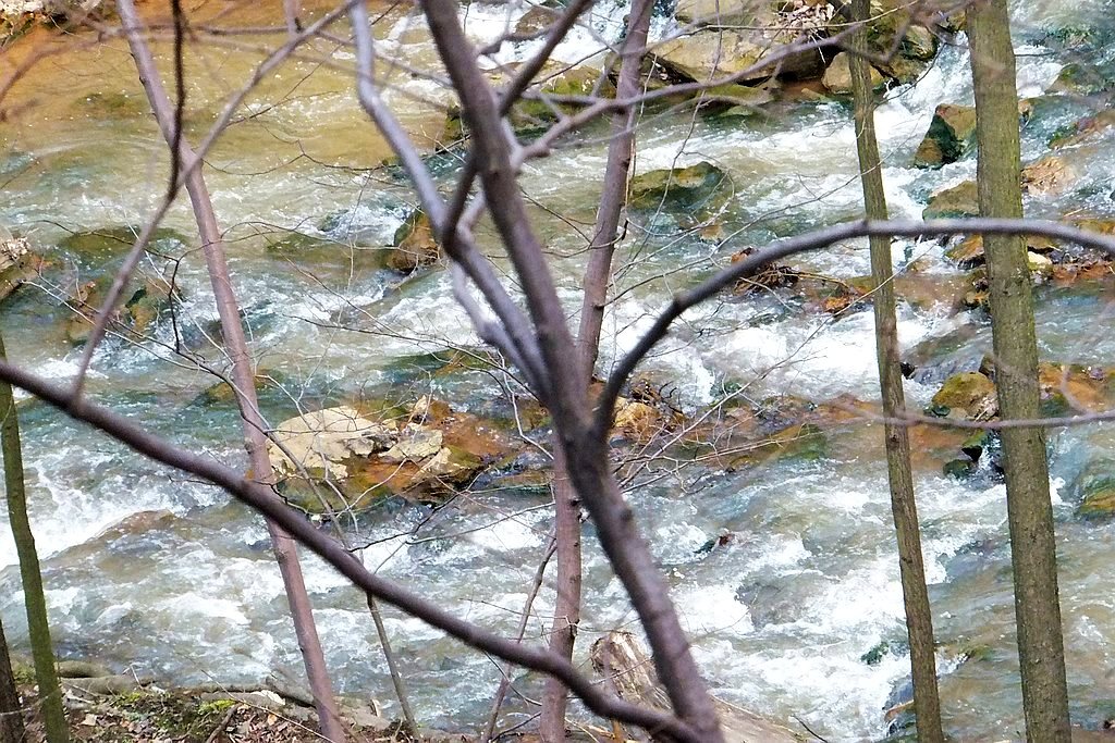 Książański Park Krajobrazowy godzien polecenia