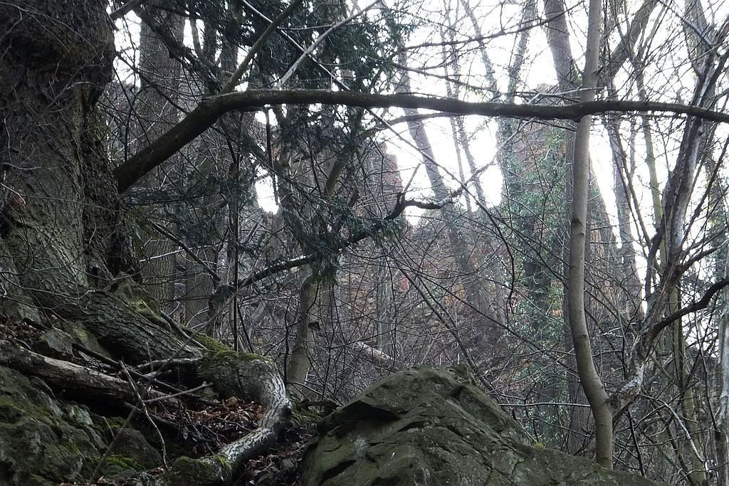 Książański Park Krajobrazowy godzien polecenia