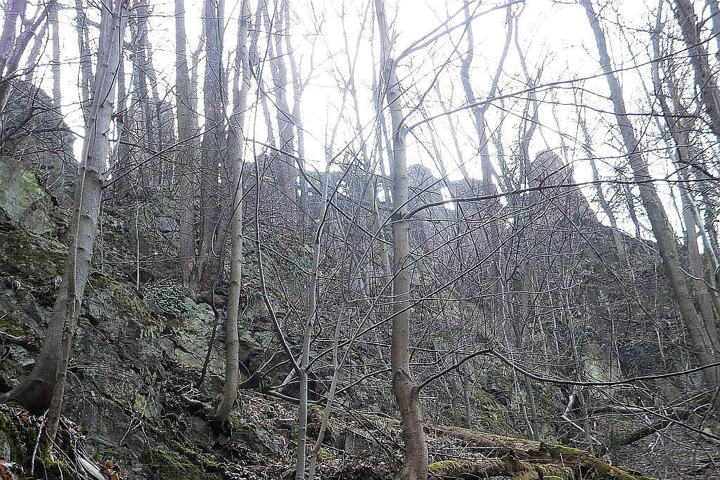 Książański Park Krajobrazowy godzien polecenia