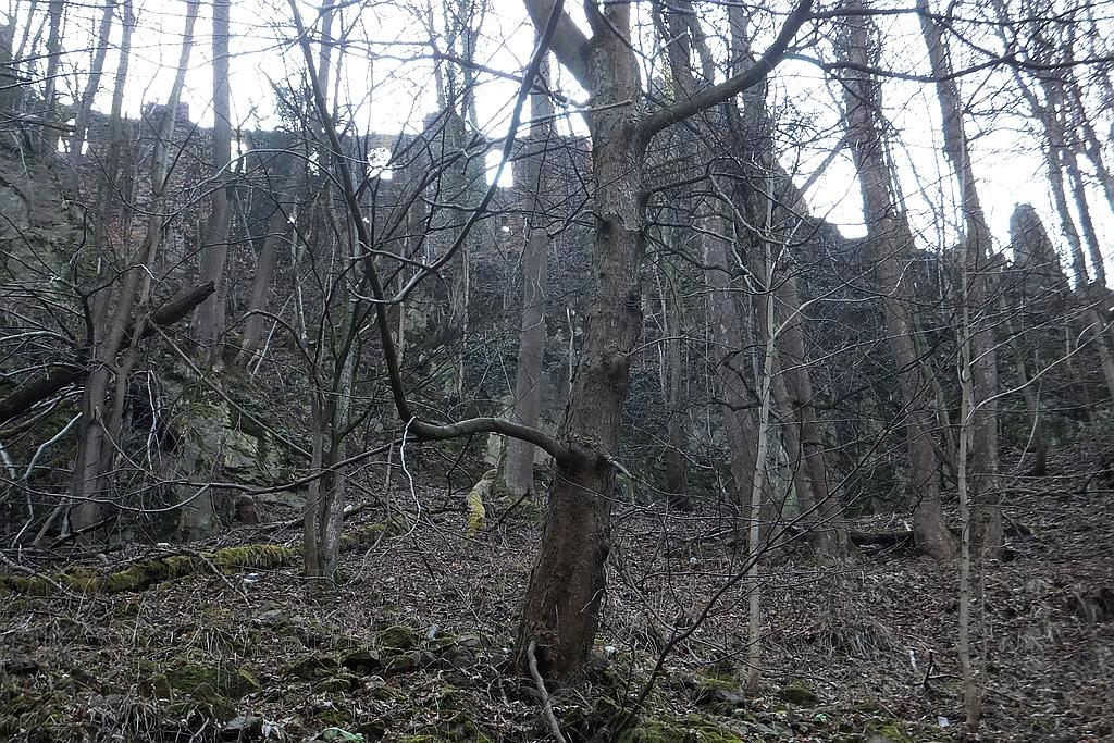 Książański Park Krajobrazowy godzien polecenia
