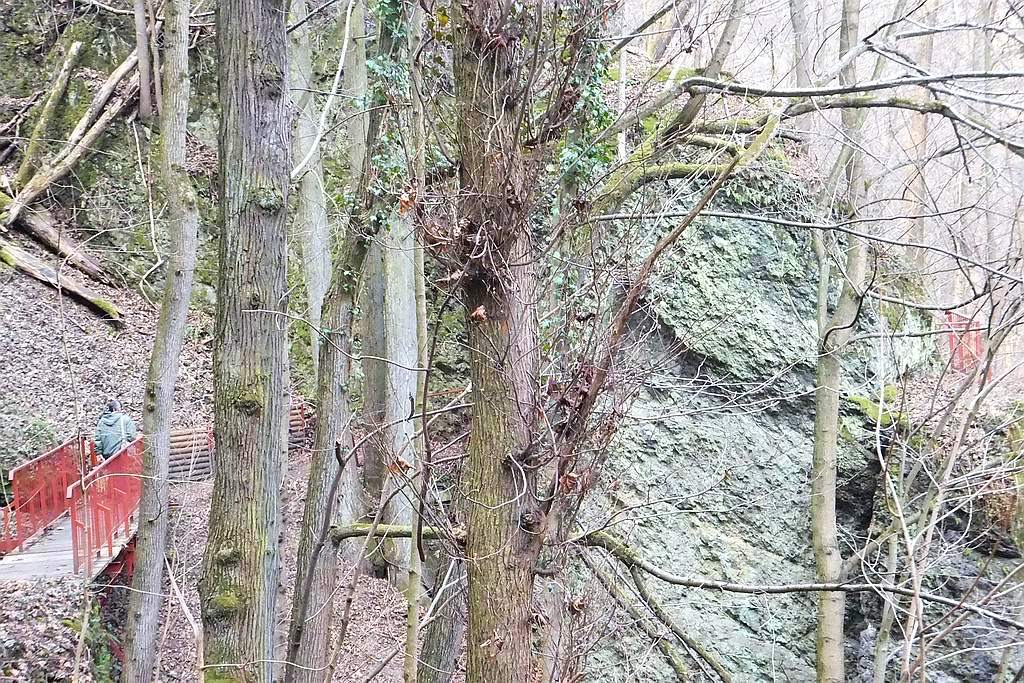 Książański Park Krajobrazowy godzien polecenia