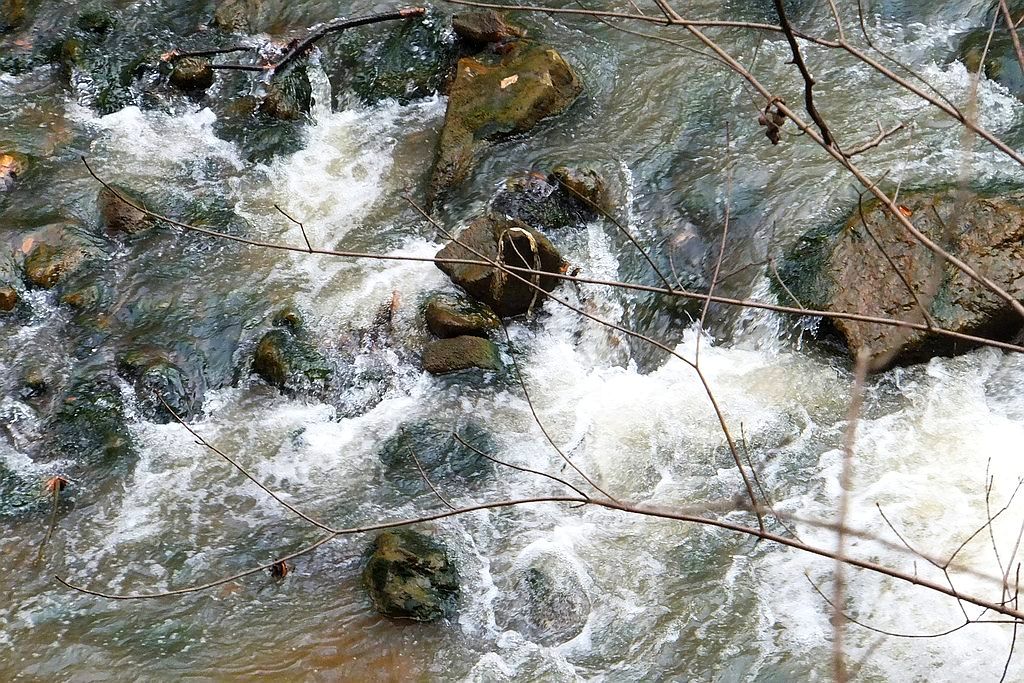 Książański Park Krajobrazowy godzien polecenia