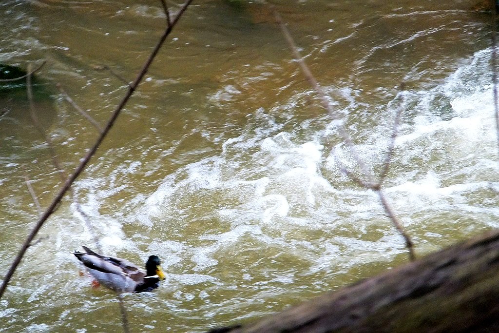 Książański Park Krajobrazowy godzien polecenia