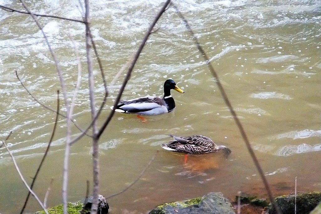 Książański Park Krajobrazowy godzien polecenia
