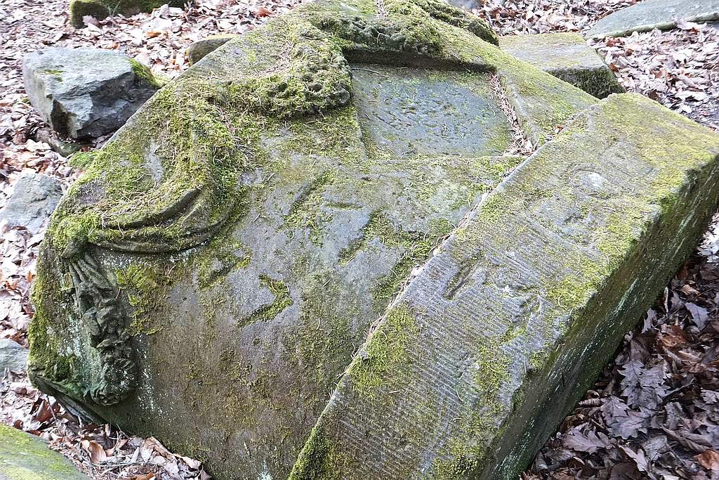 Książański Park Krajobrazowy godzien polecenia