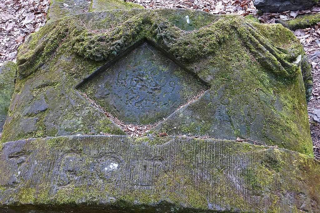 Książański Park Krajobrazowy godzien polecenia