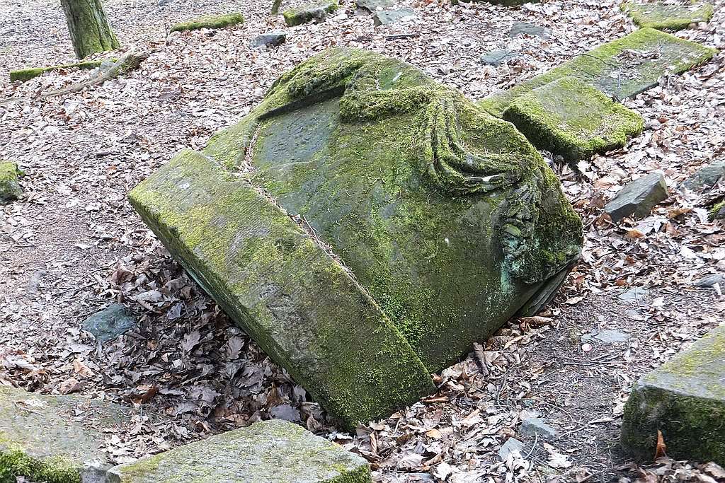 Książański Park Krajobrazowy godzien polecenia