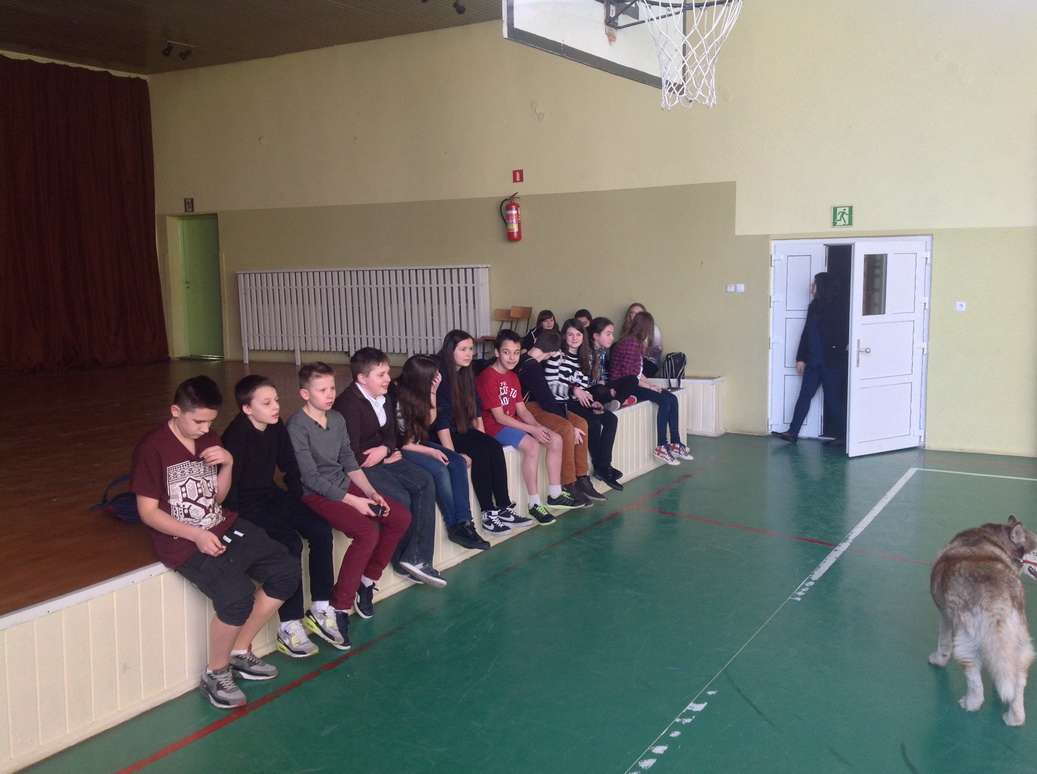 Dzień otwarty w ZSO nr 4 w Legnicy