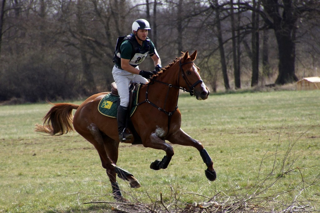 Puchar Polski WKKW 2015