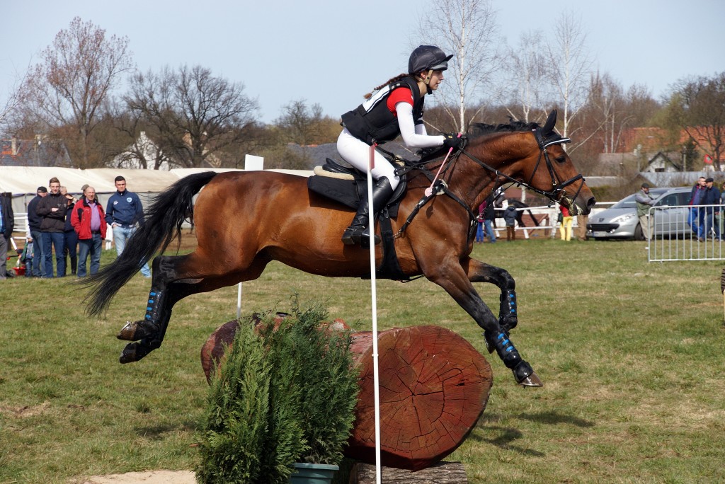 Puchar Polski WKKW 2015