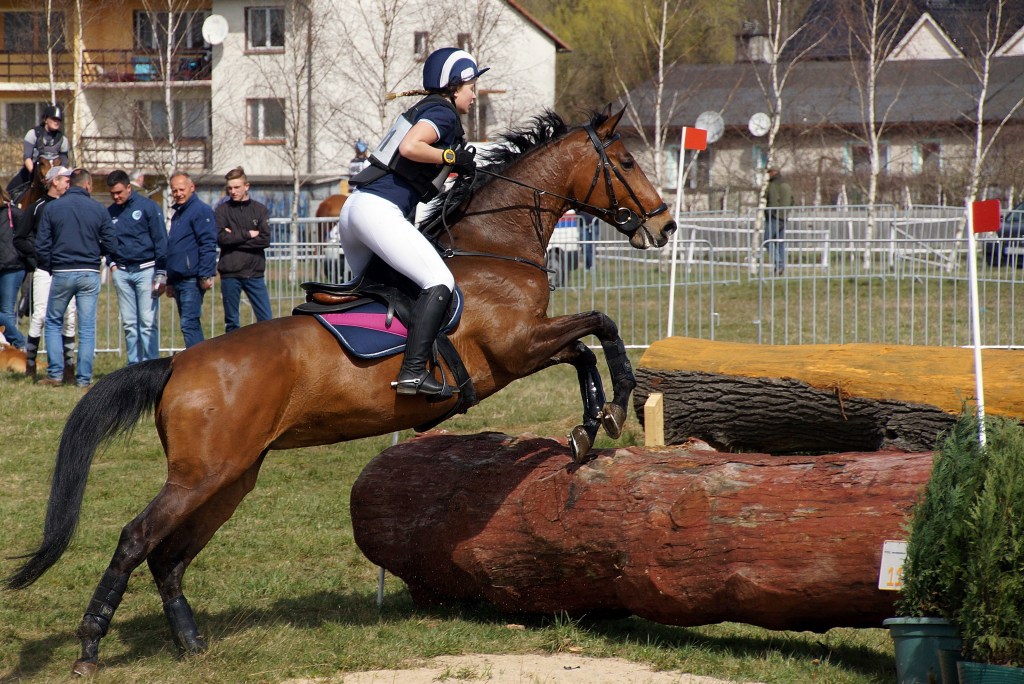Puchar Polski WKKW 2015
