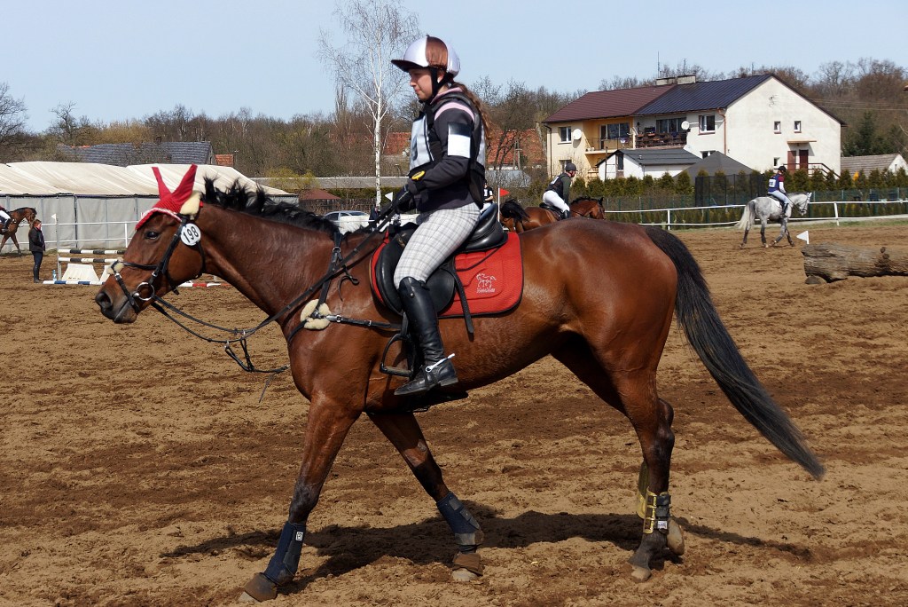 Puchar Polski WKKW 2015
