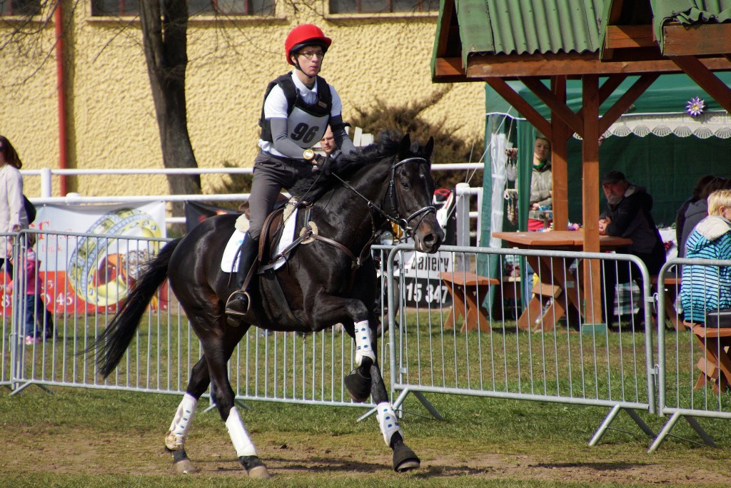 Puchar Polski WKKW 2015