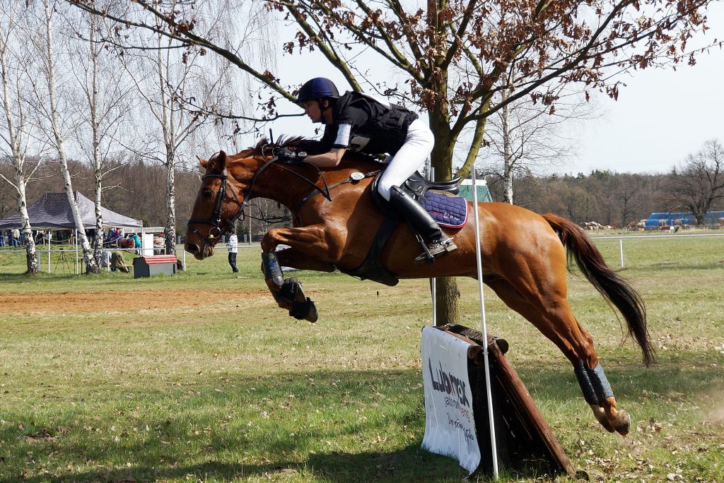 Puchar Polski WKKW 2015