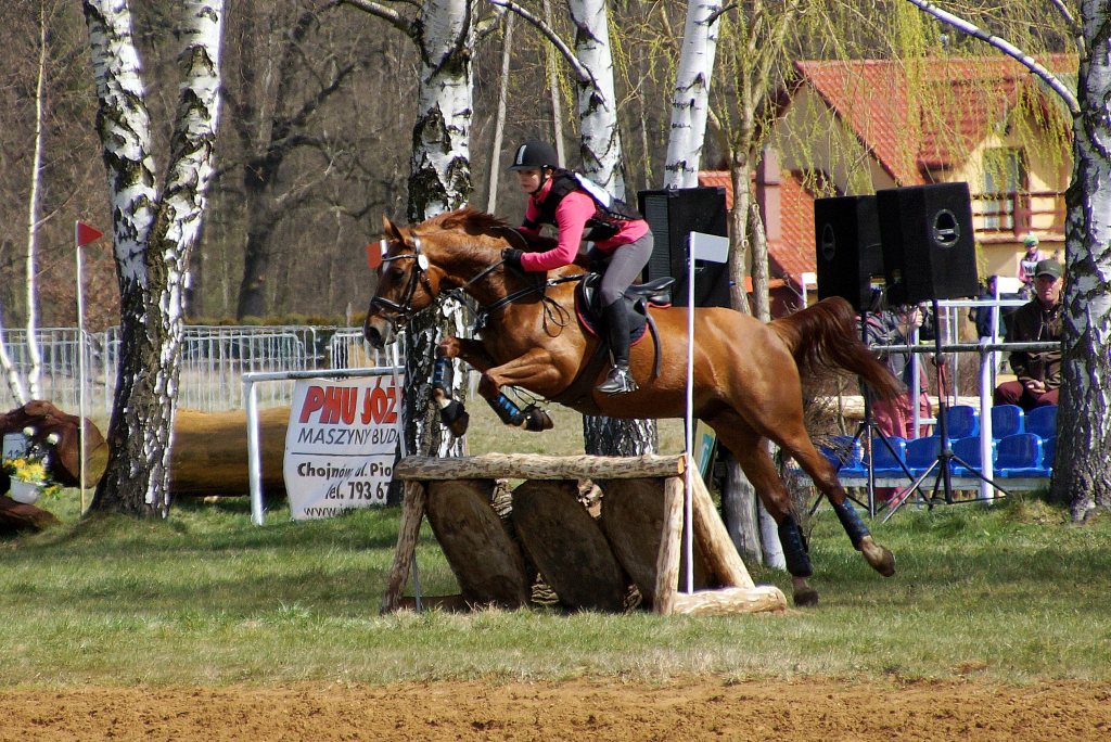Puchar Polski WKKW 2015