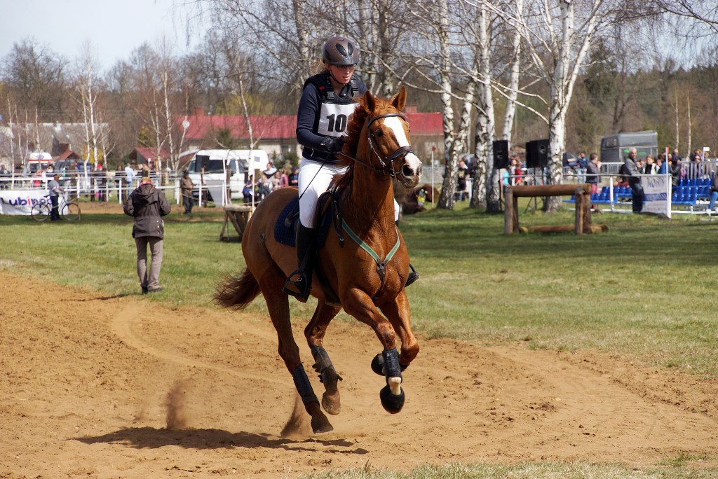Puchar Polski WKKW 2015