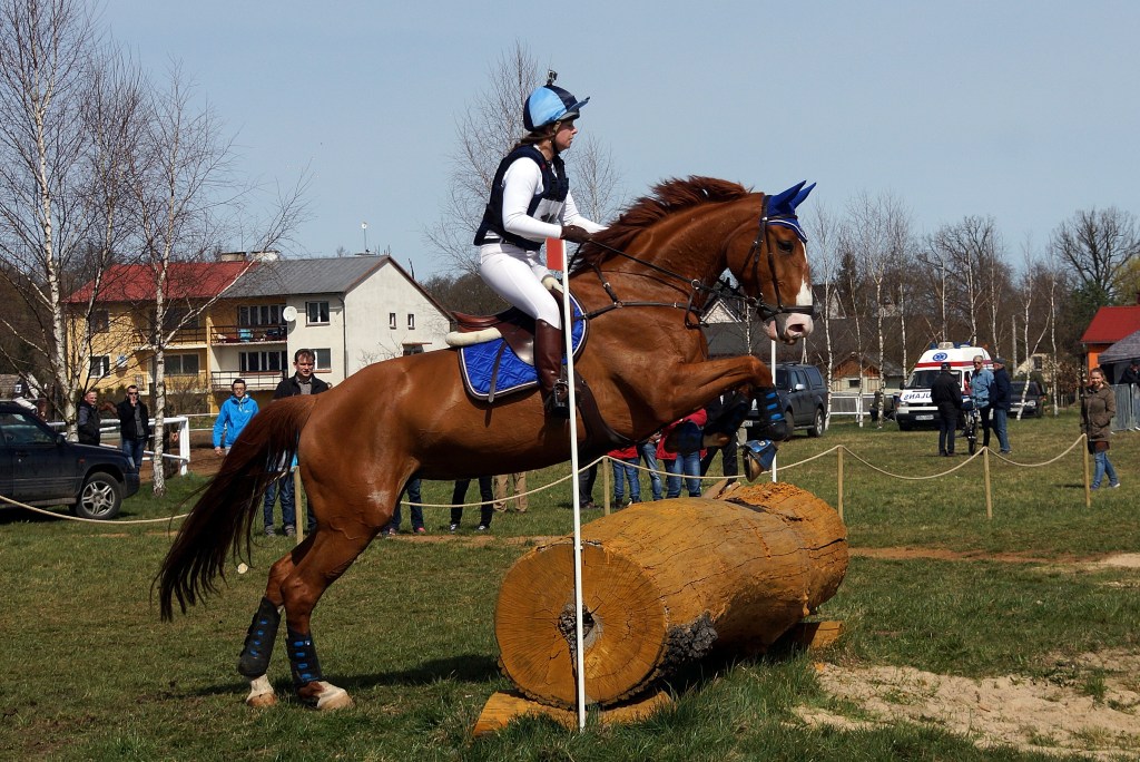 Puchar Polski WKKW 2015