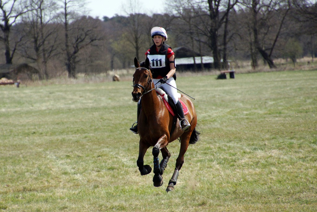 Puchar Polski WKKW 2015