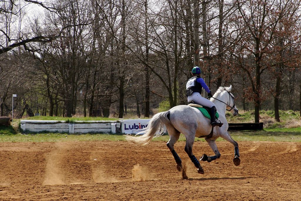 Puchar Polski WKKW 2015