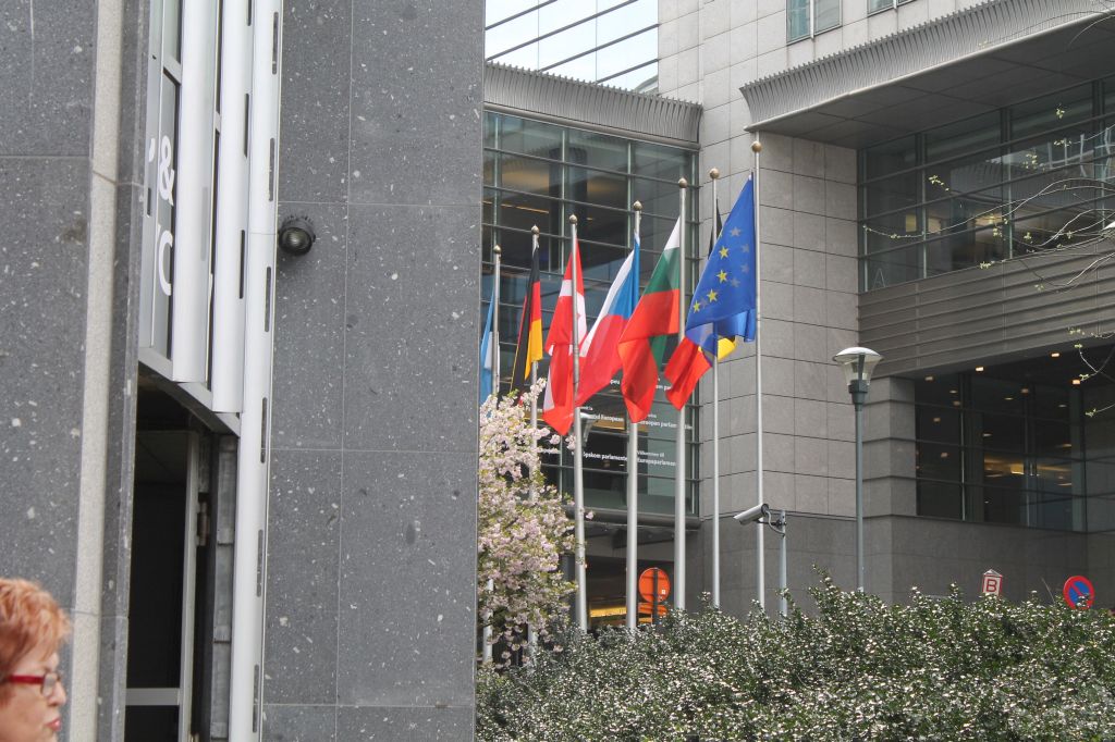Zwiedzają Brukselę z posłem Ujazdowskim