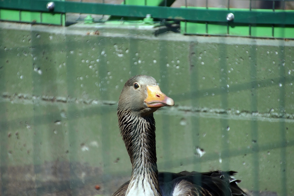 VII Mistrzostwa w Ratownictwie Medycznym