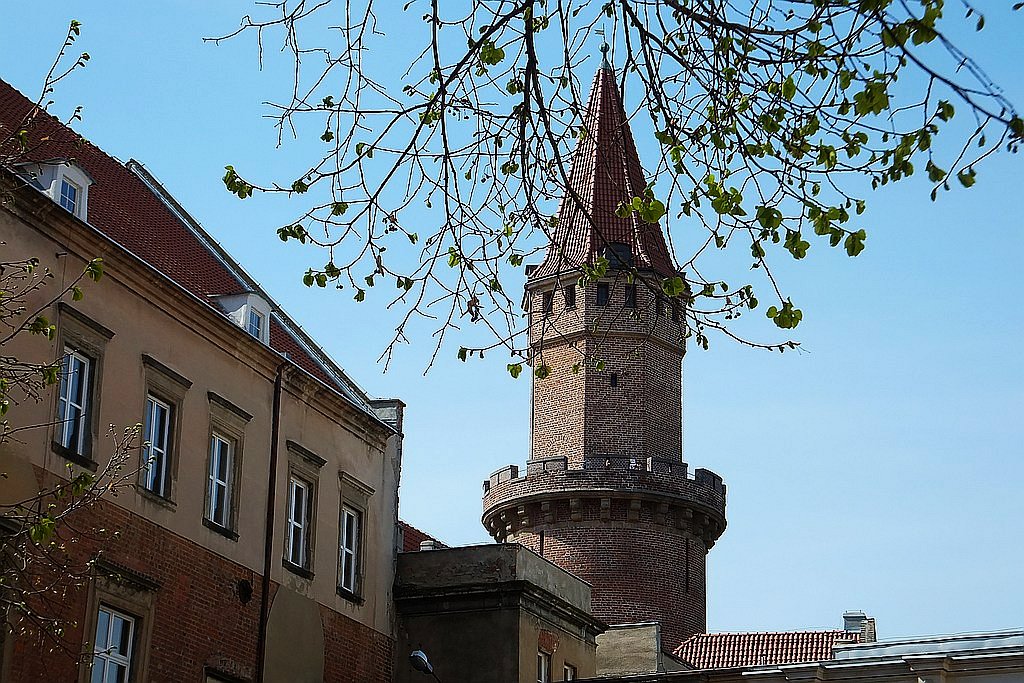 Wieże widokowe zamku otwarte dla zwiedzających