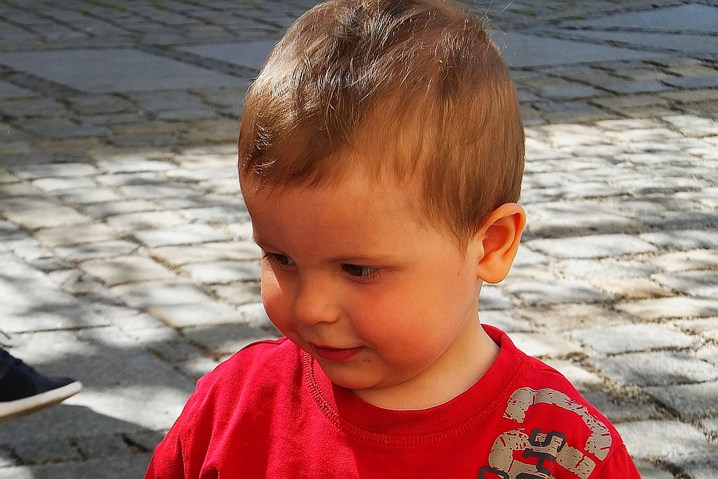 Wieże widokowe zamku otwarte dla zwiedzających