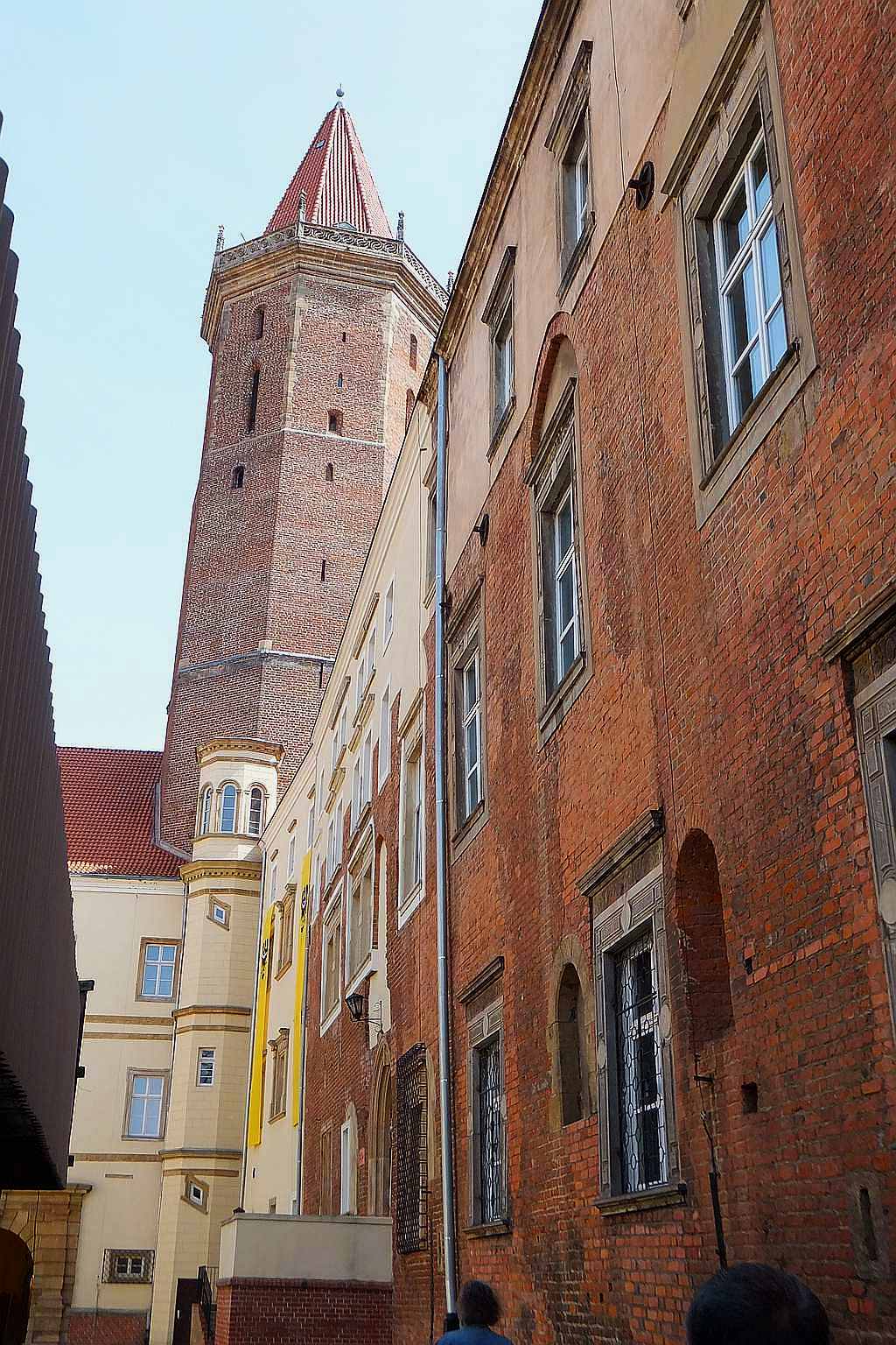 Wieże widokowe zamku otwarte dla zwiedzających