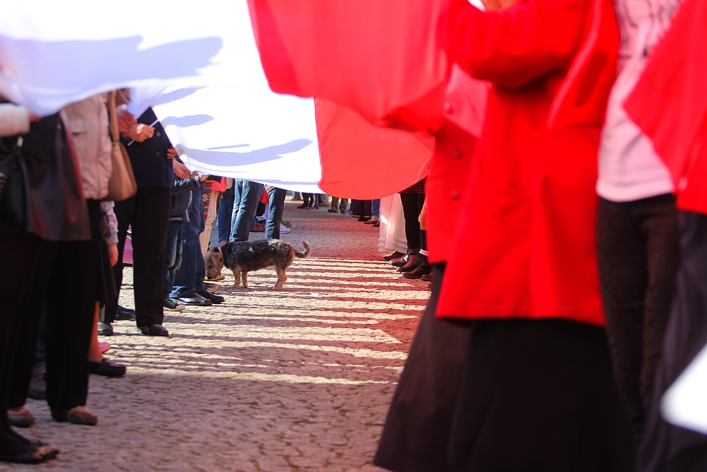 Stumetrowa biało - czerwona na płycie Rynku
