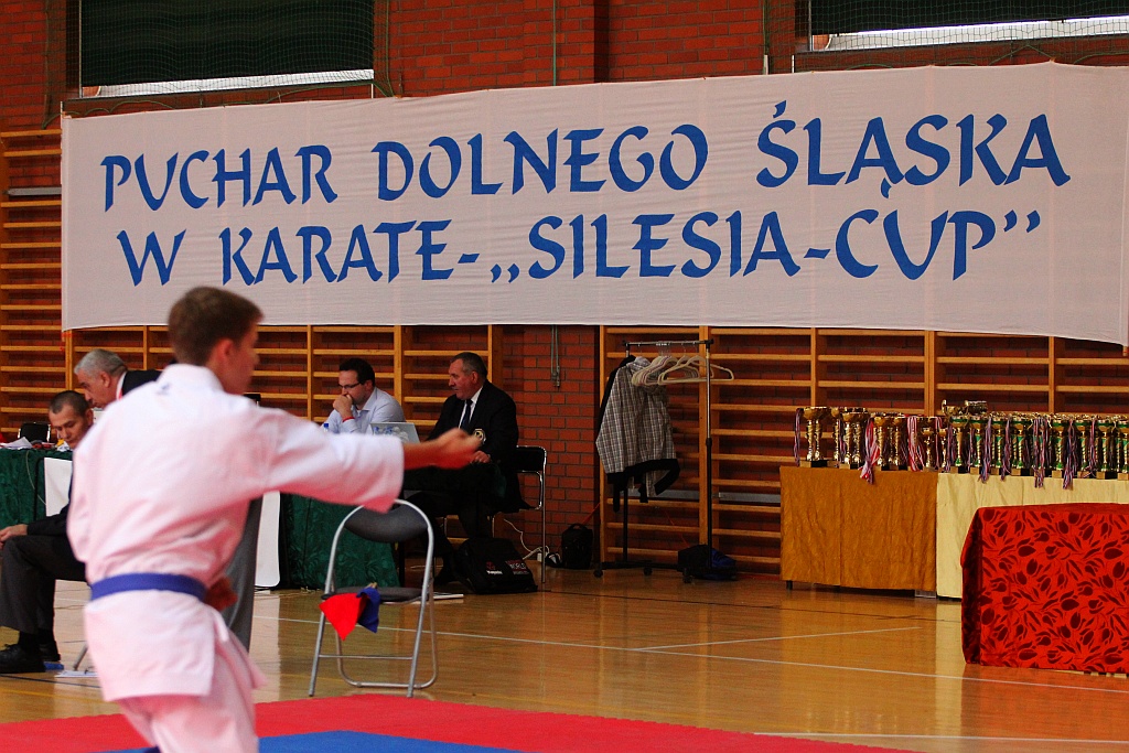 Świetny występ legnickiej Tory na Silesia Cup 2015